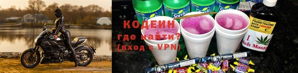 индика Михайловка