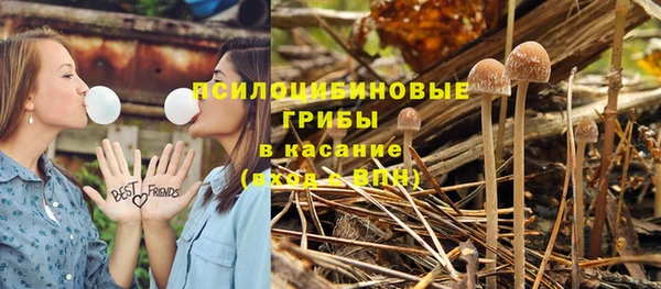 винт Михайлов