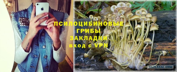 индика Михайловка